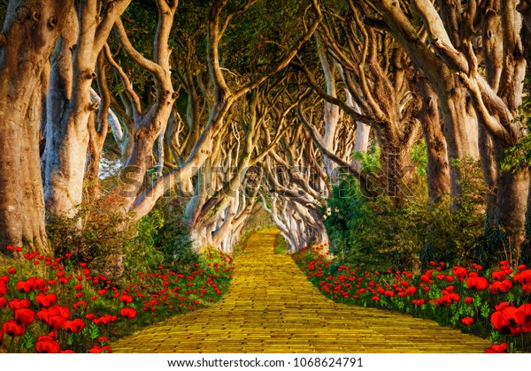 Download Yellow Brick Road Leading Into Scary Stock Photo (Edit Now) 1068624791