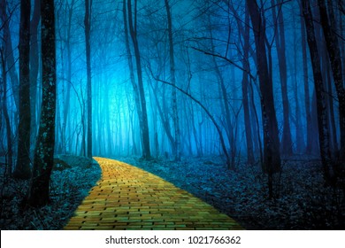 The yellow brick road leading through a spooky foggy forest