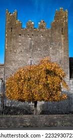 Yellow brown autumn tree, old stone church tower building background
