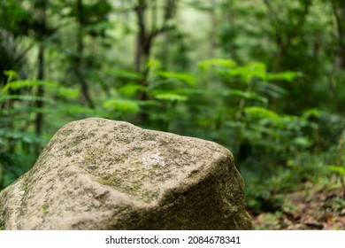 Yellow Brown Rock As Foreground Object In Shallow Depth Of Field Focus With Tropical Rain Forest Jungle Full Of Trees And Leaves As Blurred Bokeh Background. Stone With Moss And Blurred Dry Leaves.