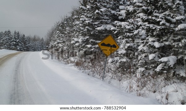 Yellow bump road sign beside\
an empty snow covered road in a wooded area after the latest snow\
fall\
