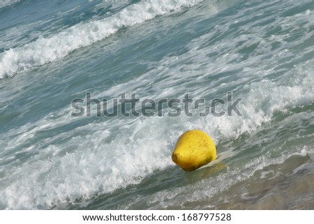 Similar – Image, Stock Photo lost property Colour photo