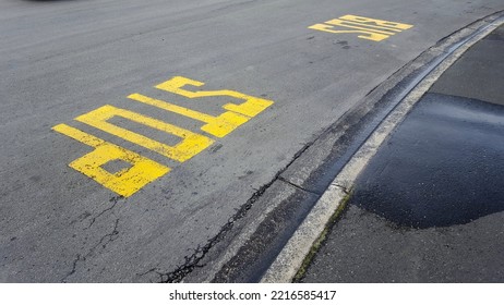 Yellow Bus Stop Writing On Road