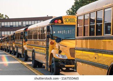 Yellow Buses Lined Up In Front Of School Ready For First Day