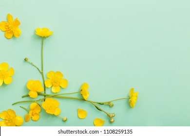 yellow buttercups on green paper background