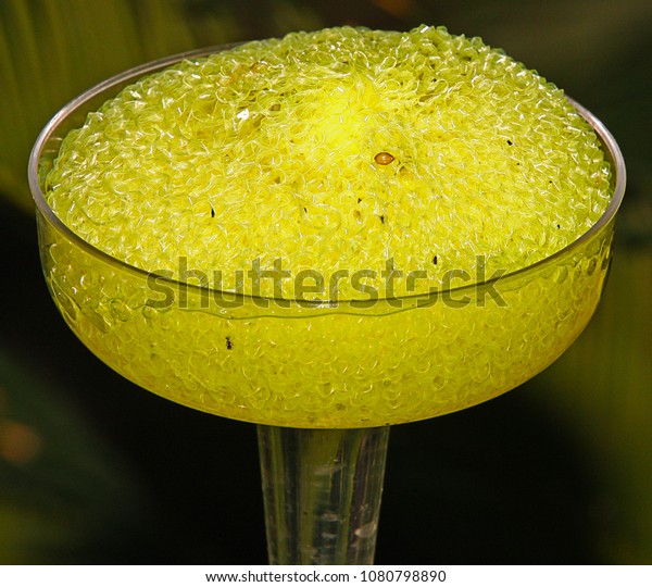 Yellow Butterfly Feeder Made Sponge Filled Objects Stock Image