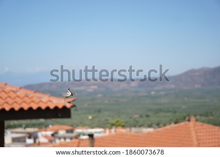 A   yellow butterfly flying,  tiled roof and mountains blurred  background