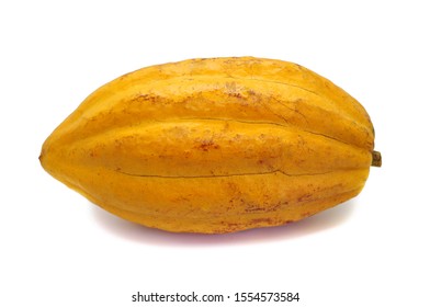 Yellow Cacao Fruit On White