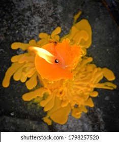 A Yellow Candle Melting From Above