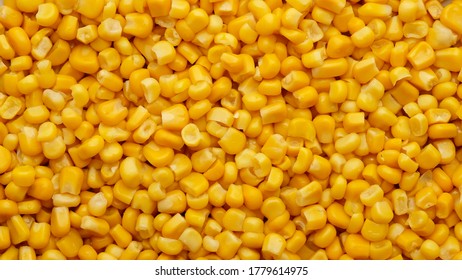 Yellow Canned Corn Top View