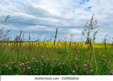 大草原天空的圖片 庫存照片和向量圖 Shutterstock