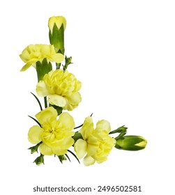 Yellow carnation flowers in a floral cotner arrangement isolated on white background