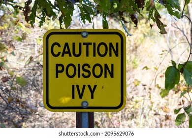 Yellow Caution Poison Ivy Sign