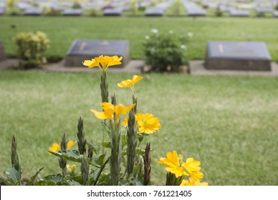 Yellow Cemetery Flowers In The Graveyard