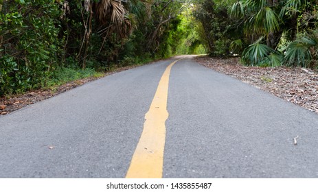 Yellow Center Line On A Rural Tarred Road Winding Away Through Lush Green Tropical Vegetation In A Low Angle View