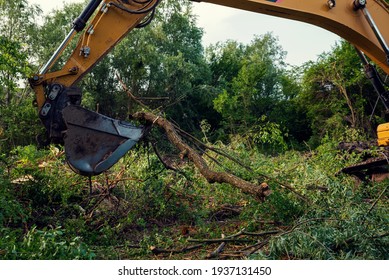 Yellow Chain Excavators Clearing Vegetation During The Construction Of South Stream Pipeline In Bulgaria Deforestation Process Is Very Dangerous For Our Planet Future