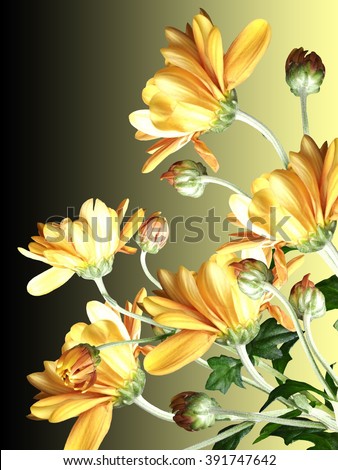 Similar – Image, Stock Photo coloured flowers