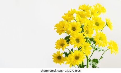 Yellow chrysanthemums bouquet on the white background isolated. Nice flowers for greeing with Mother's day, Valentine's day, women's day or any anniversary.  - Powered by Shutterstock