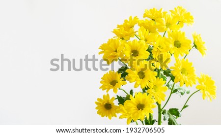 Yellow chrysanthemums bouquet on the white background isolated. Nice flowers for greeing with Mother's day, Valentine's day, women's day or any anniversary. 