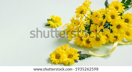 Yellow chrysanthemums bouquet with ribbon on the turquoise background. Festive yellow chrysanthemums as a gift for Mother's day, Women's day or any holiday. Banner photo with space for greeting.