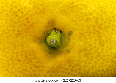 Yellow Citrus Fruit Pedicel Close-up Texture Background