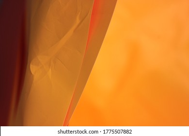 Download 1113 Orange Yellow Images Free Stock Photos On Stocksnap Io PSD Mockup Templates