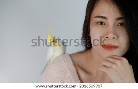 yellow cockatiel parrot holding a woman's hand Cute pet, nature, 