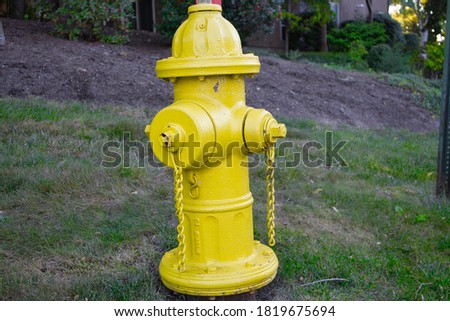 Yellow Colored Fire Hydrant On Corner
