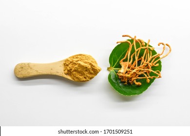 Yellow Cordyceps Militaris Powder In Wooden Spoon With Dry Cordyceps Militaris Mycelium On White Background.