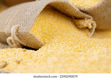 yellow corn grain flour for cooking polenta porridge, dry yellow polenta porridge close-up