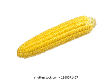 Download Corn Yellow Images Stock Photos Vectors Shutterstock Yellowimages Mockups