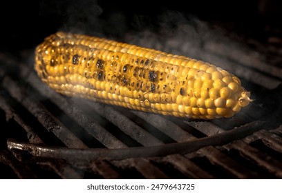 Yellow corn on the cob in sunlight cooking on a grill with char marks and smoke - Powered by Shutterstock