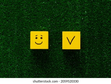 Yellow Cube With A Tick And A Happy Face On Grass. Concept Of Choosing A Better Option And Customer Experience Ratings. Copy Space