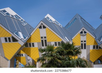 Yellow cubic houses in Rotterdam. The "kubuswoningen" in Rotterdam are a tourist attraction. Yellow cubic houses with a palm tree in front of them and a clear blue sky.