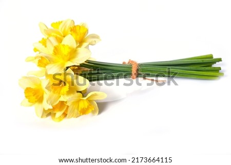 Yellow daffodils isolated on white background