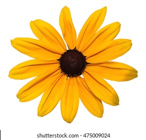 Yellow Daisy Flower Clip Art