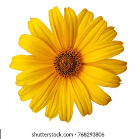 13,874 Yellow white daisy borders Images, Stock Photos & Vectors ...