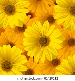 Yellow Daisy Flower,background Of The Flowers