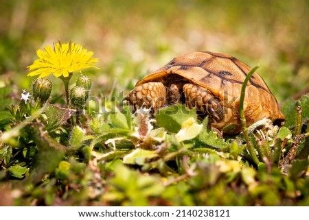 Similar – Foto Bild Aufbruchsstimmung Sommer