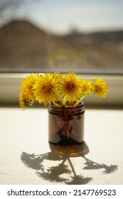 Yellow Dandelion Flowers Bouquet On Sunny Windowsill.