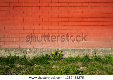 Similar – Image, Stock Photo it greenens so green I