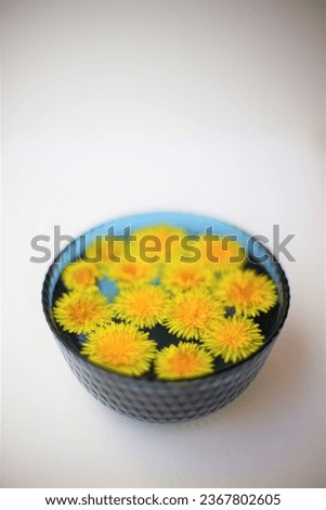 Yellow dandelions flowers in a blue glass bowl on white table.