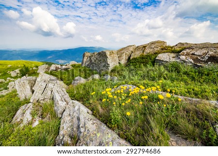 Similar – Image, Stock Photo Dandelion, huge Nature