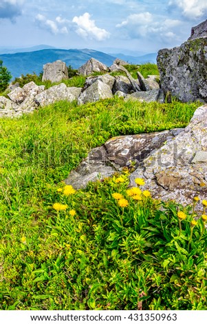 Similar – Image, Stock Photo Dandelion, huge Nature