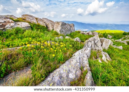 Similar – Image, Stock Photo Dandelion, huge Nature