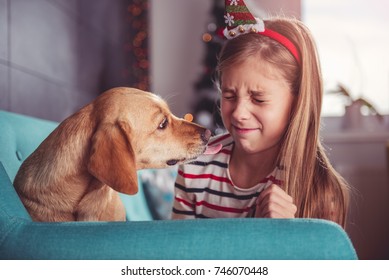 Yellow Dog Licking Little Girls Face On Sofa At Home