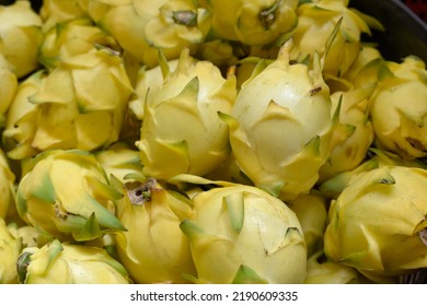 Yellow dragon fruit healthy weight loss fruit. It is a plant in family as cactus. or food for pay respect to predecessor god Chinese new year festival. Chinese culture ancestor food offering. - Shutterstock ID 2190609335