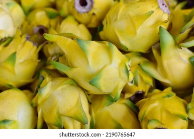 Yellow dragon fruit healthy weight loss fruit. It is a plant in family as cactus. or food for pay respect to predecessor god Chinese new year festival. Chinese culture ancestor food offering. - Shutterstock ID 2190765647