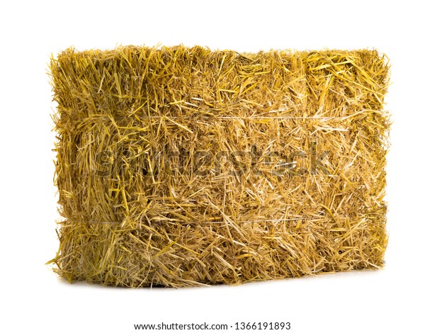 Yellow Dry Barley Straw Isolated On Stock Photo (Edit Now) 1366191893
