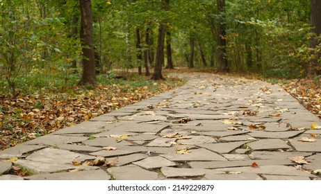 Yellow Dry Fall Leaves, Walkway Path In Forest. Pathway In Autumn Maple Park. Low Angle Perspective Stone Footpath, Golden September, October Of November Woods. Foot Path Trail Among Trees In Grove.